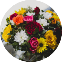 _Section - 023 New Collection img #1