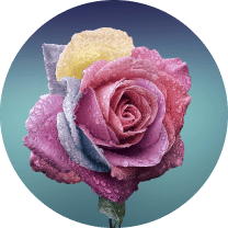 _Section - 023 New Collection img #2