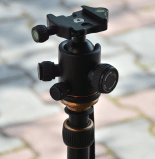 _Section - Bonus Thumbnail #1