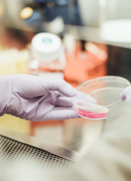 _Section - Fact Img Thumb #1