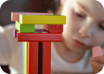 _Section - Fakta Img #1