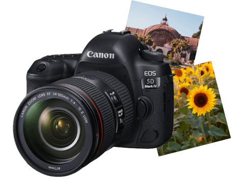 _Section - Features BG 010