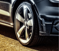 _Section - Img Thumb Bonus 014 #1