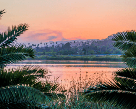 _Section - Rewards BG 010 #3