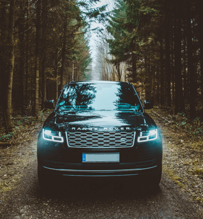 _Section - Who BG 014