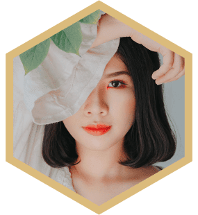 _Section - 053 Fact Img #2