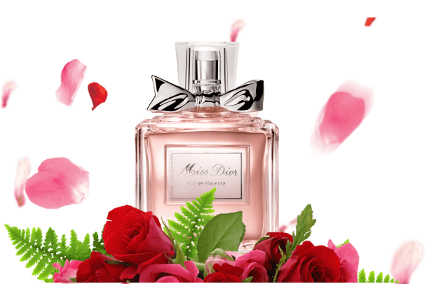 _Section - 058 Introduction2 Img #center