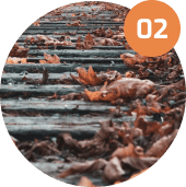 _Section - 061 Fakta Img #2