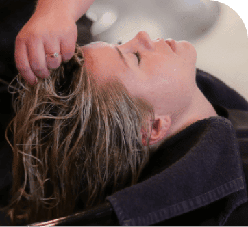 _Section - 072 Alasan Img #1