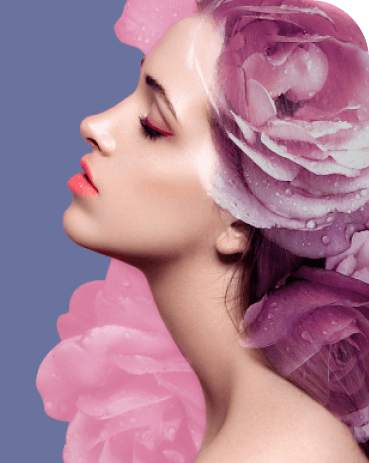 _Section - 072 Fakta Img #2