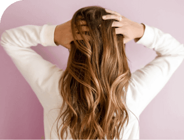 _Section - 072 Harga Img #2