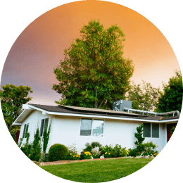 _Section - 077 Fakta Img #1