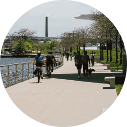 _Section - 077 Fakta Img #2