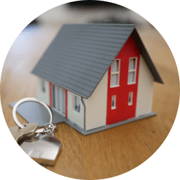 _Section - 077 Fakta Img #3