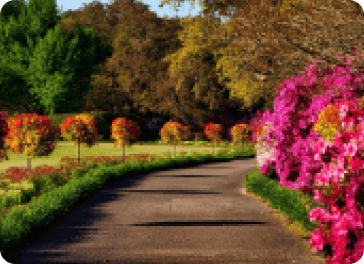 _Section - 077 Keuntungan Img #2