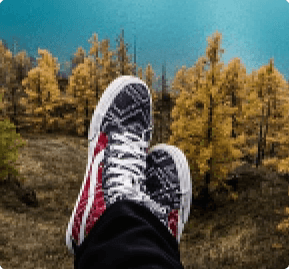 _Section - 081 Bonus Img #3