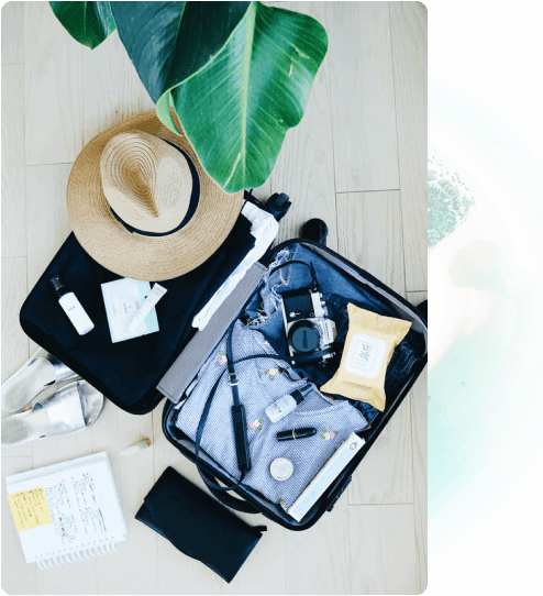 _Section - 081 Introduction1 Img #1