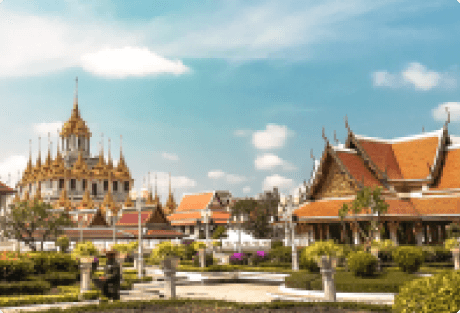 _Section - 081 Paket Img #1