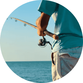 _Section 002 - Bonus Img #1