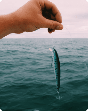 _Section 002 - Intro1 Img #2