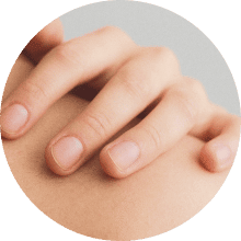 _Section - 089 Fakta Img #3