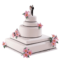 _Section 107 - Bonus Img #3