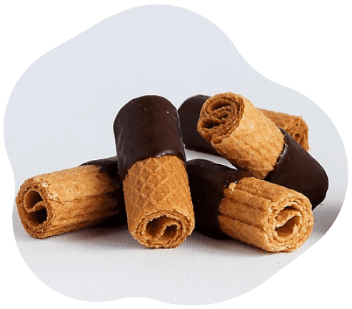 _Section 108 - Who Img #1